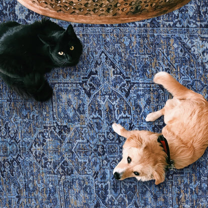 Realife Machine Washable Area Rug - Versatile Padded Low Pile Stain Resistant Design for Living Room, Bedroom, Bathroom, Kitchen, Entryway, and Office - Boho Vintage Traditional Style - Lyle - Blue 7'6" x 9'6